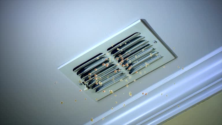 Best Local Air Duct Cleaning Services  in Perkins, OK