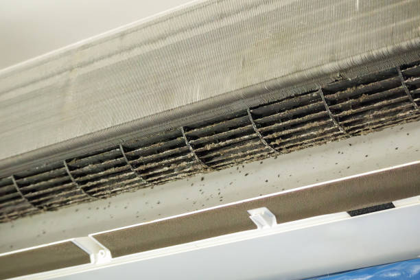 Best HVAC Air Duct Cleaning  in Perkins, OK